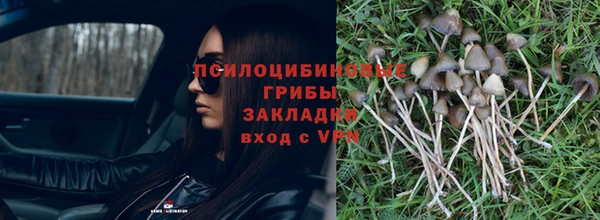 стафф Белокуриха