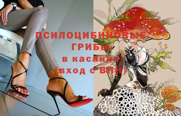 стафф Белокуриха