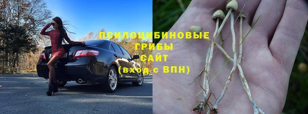 стафф Белокуриха