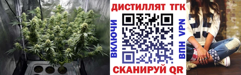 ТГК Wax  Вятские Поляны 